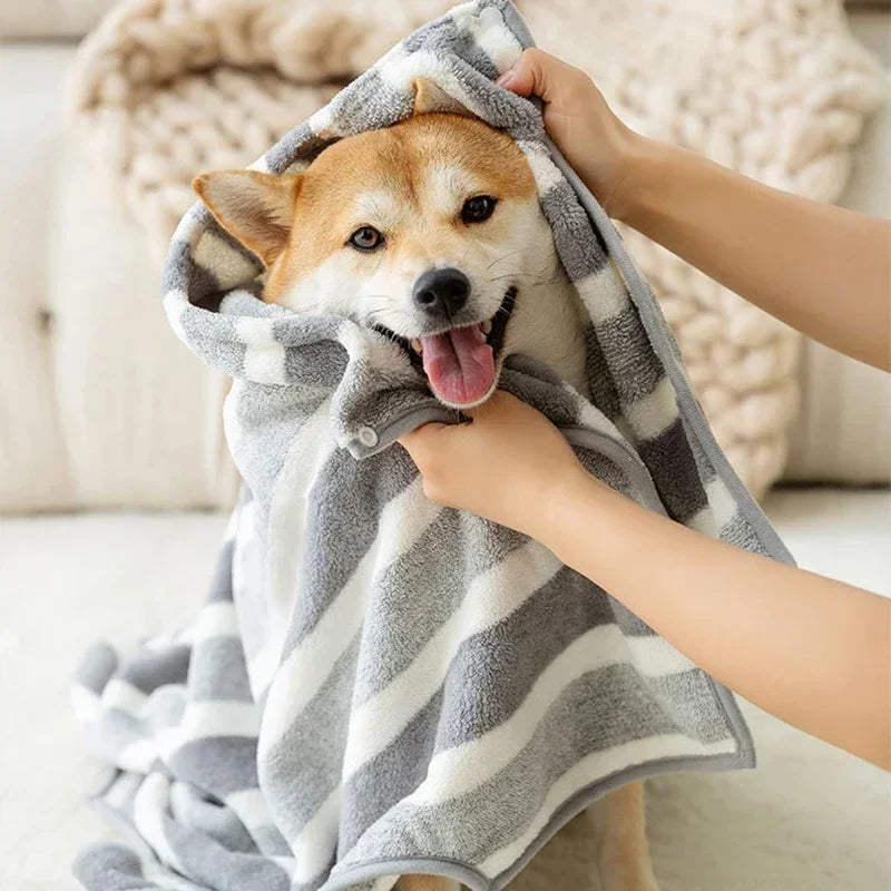 Luxury Dog Robe